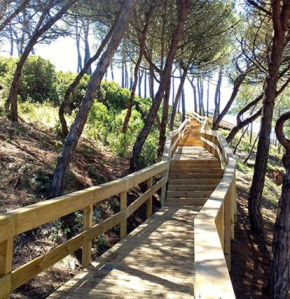 Beach,surf, hiking and more